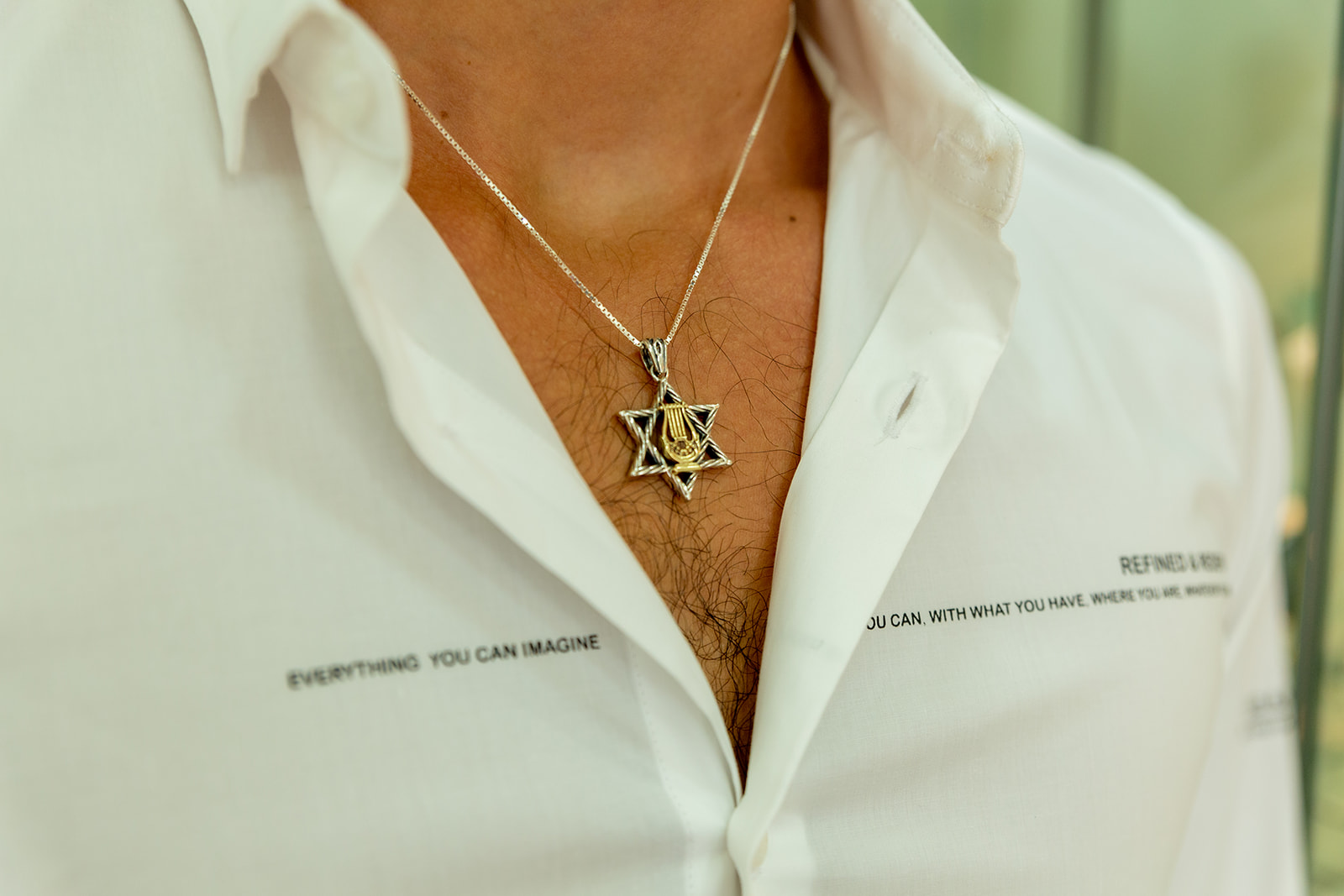 Star of David Harp Pendant, for Protection, The Magical Touch