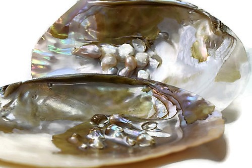 Oyster With Pearl